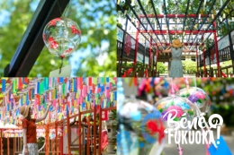 Mini-guide : où voir des fûrin à Fukuoka