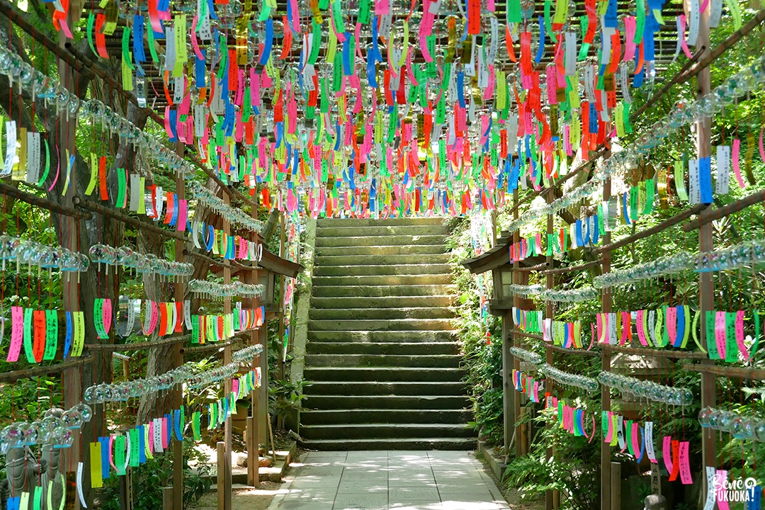 Fûrin au temple des grenouilles, Ogôri, Fukuoka