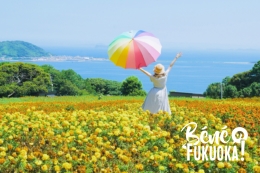 Champ de fleurs au parc de Nokonoshima, Fukuoka