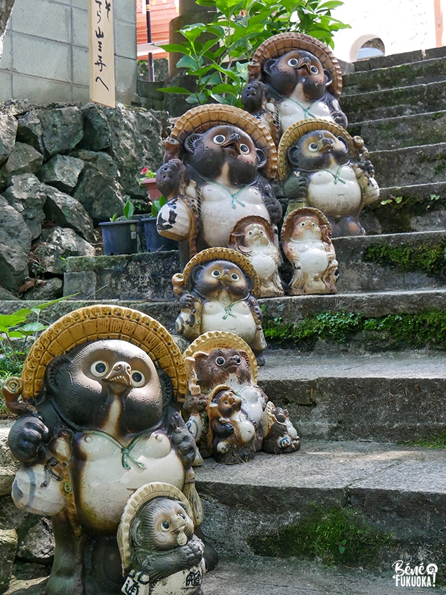 Tanuki au temple Sannôji, village de Sasaguri, Fukuoka