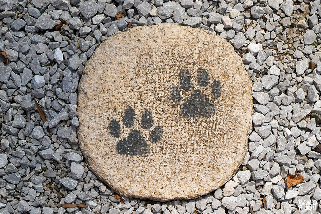 Akanekosha, le sanctuaire du chat rouge (Usuki, préfecture d'Ôita)