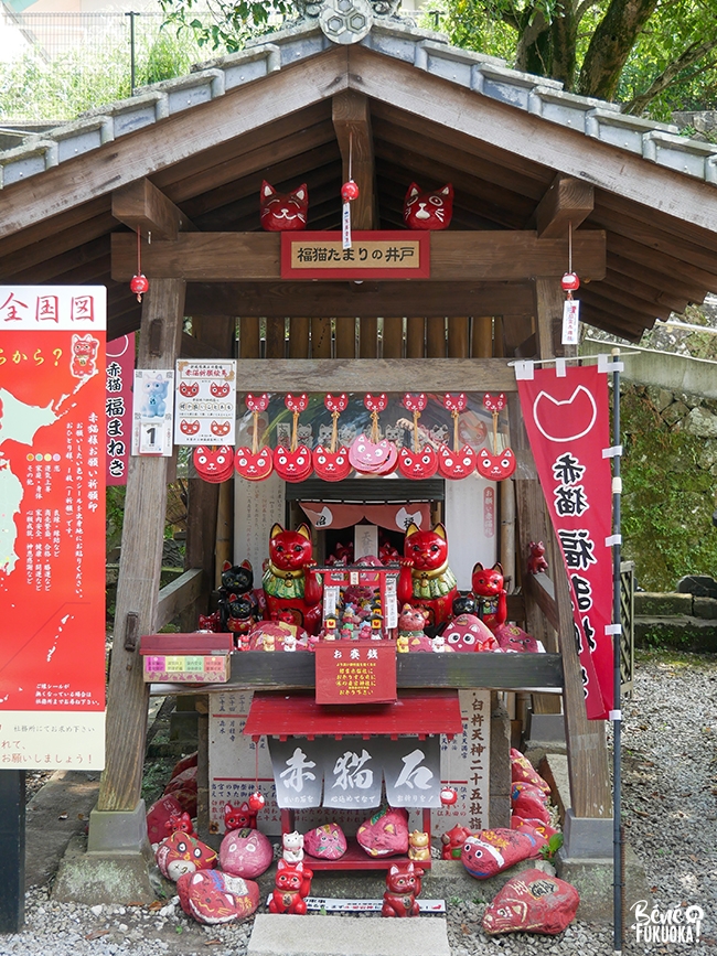 Akanekosha, le sanctuaire du chat rouge (Usuki, préfecture d'Ôita)