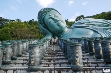 Visiter le temple Nanzôin en 2019 : ce qui a changé