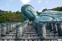 Visiter le temple Nanzôin en 2019 : ce qui a changé Visiter le temple Nanzôin en 2019 : ce qui a changé