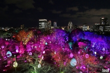 teamLab: Light Festival in Fukuoka Castle Ruins