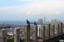 La belle vue sur Fukuoka depuis le sanctuaire Atago