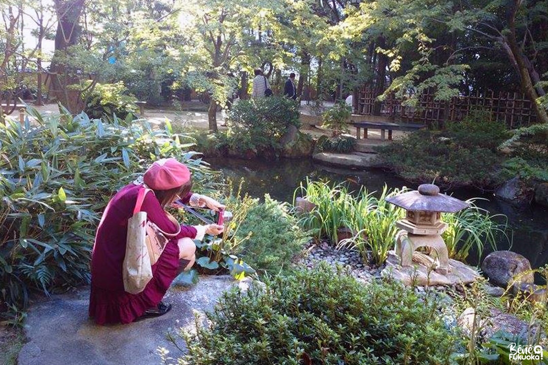 Rakusuien, un mini jardin au coeur de Hakata