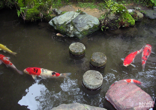 10 ans de Japon