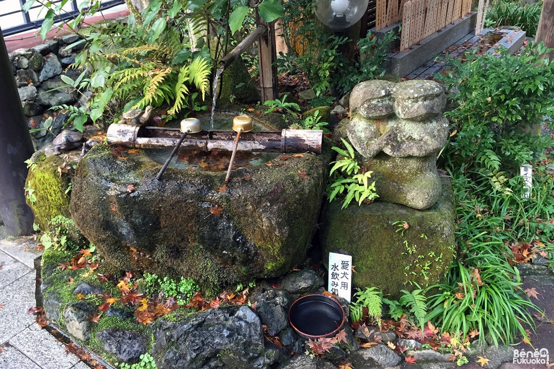 Temple Nanzôin, Fukuoka