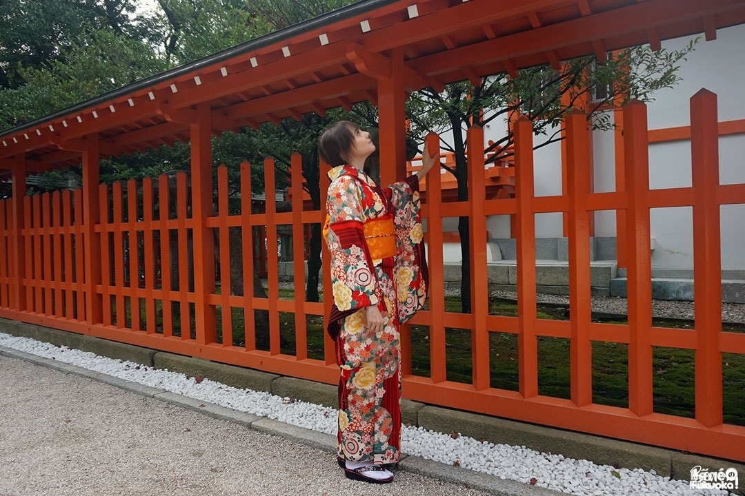 Fukuoka Kimono Walk #11 - Momiji Hachimangû