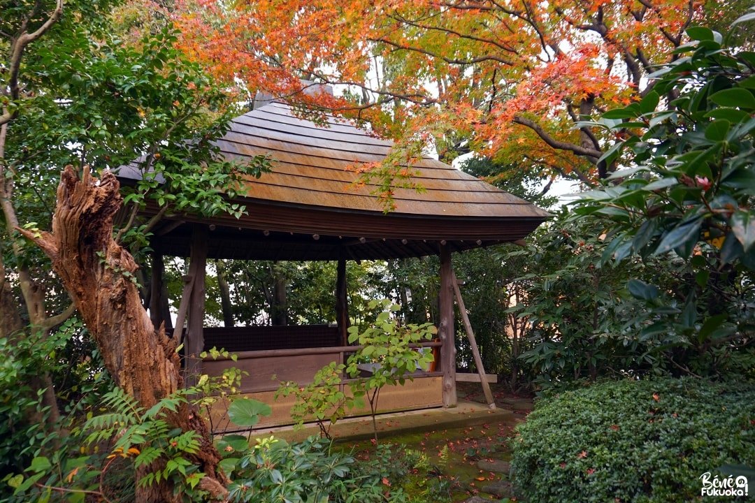 Érables au jardin Shôfû-en de Fukuoka