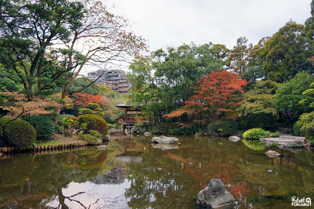 Érables au jardin Yûtsentei de Fukuoka