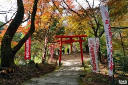 Les érables rouges à Dazaifu en automne