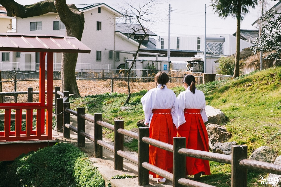 Experience miko au sanctuaire Koinoki, ville de Chikugo, Fukuoka
