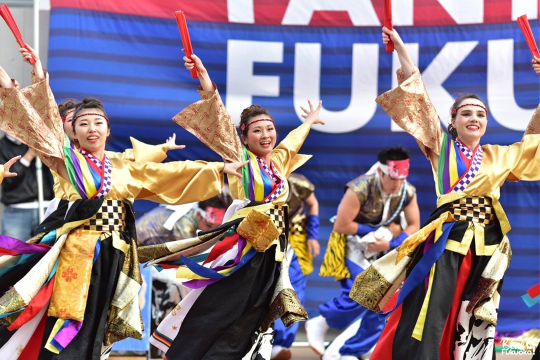 Sanoyoi Fire Carnival, festival de yosakoi de Kumamoto