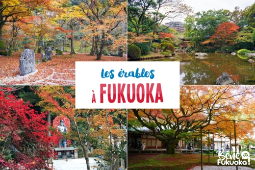 Guide momiji : où admirer les érables à Fukuoka