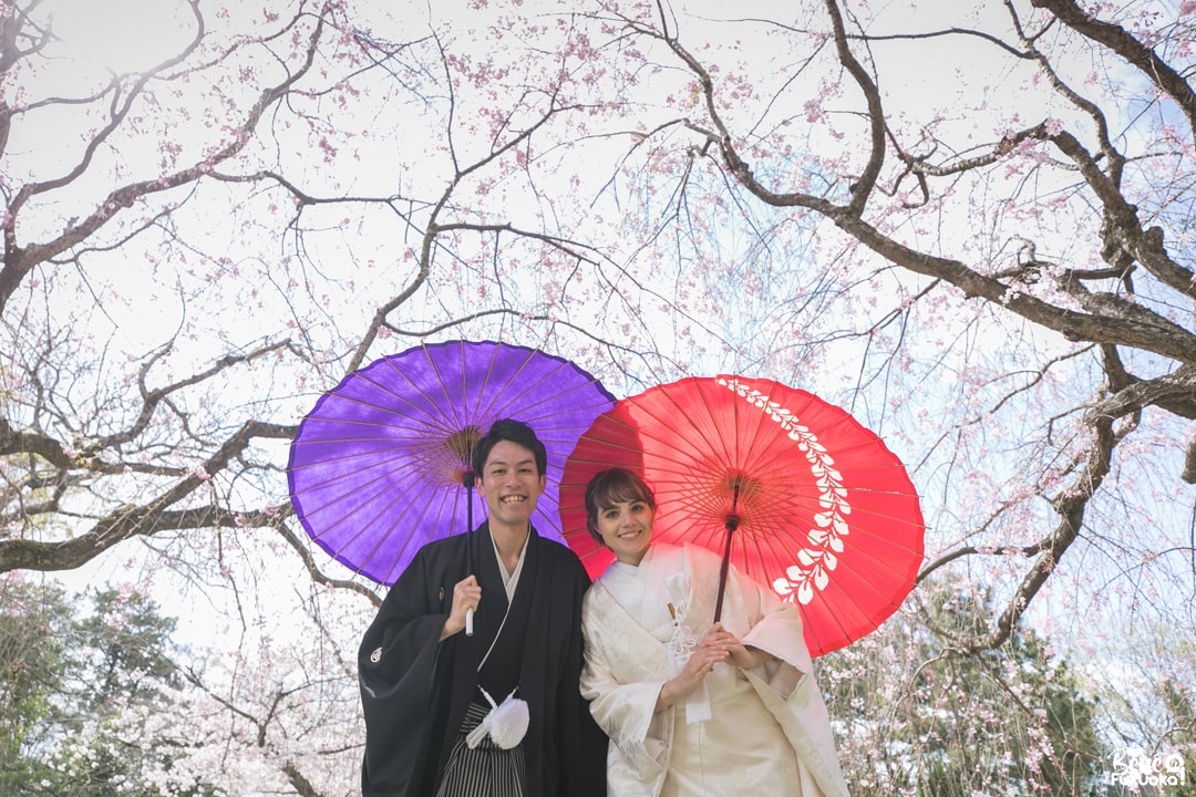 Photos de mariage sous les cerisiers, ville de Fukuoka, Japon
