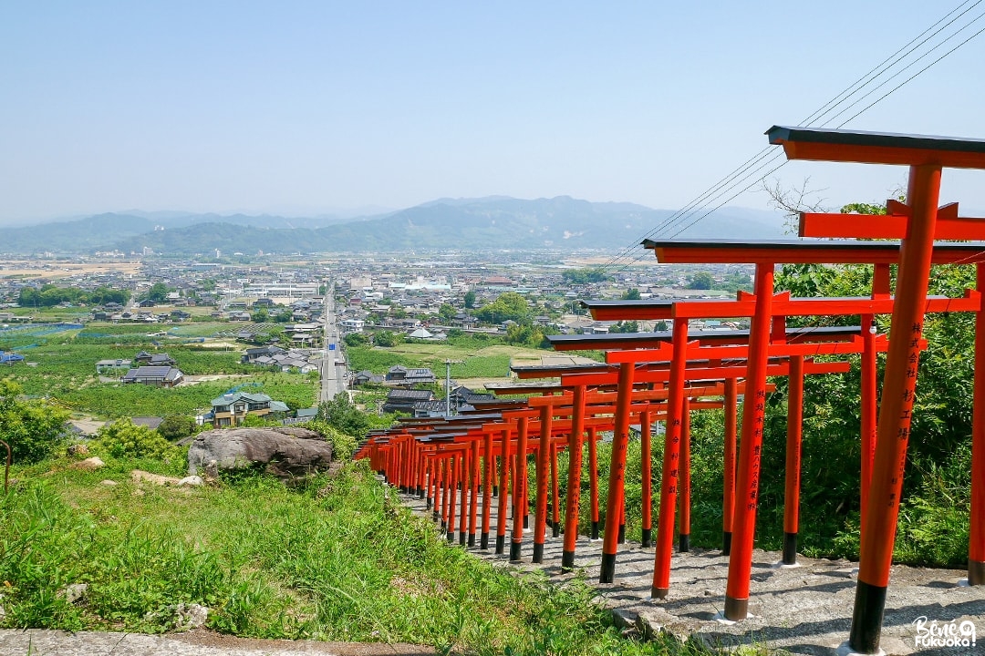 L'allée de torii du sanctuaire Ukiha Inari, ville d'Ukiha, préfecture de Fukuoka