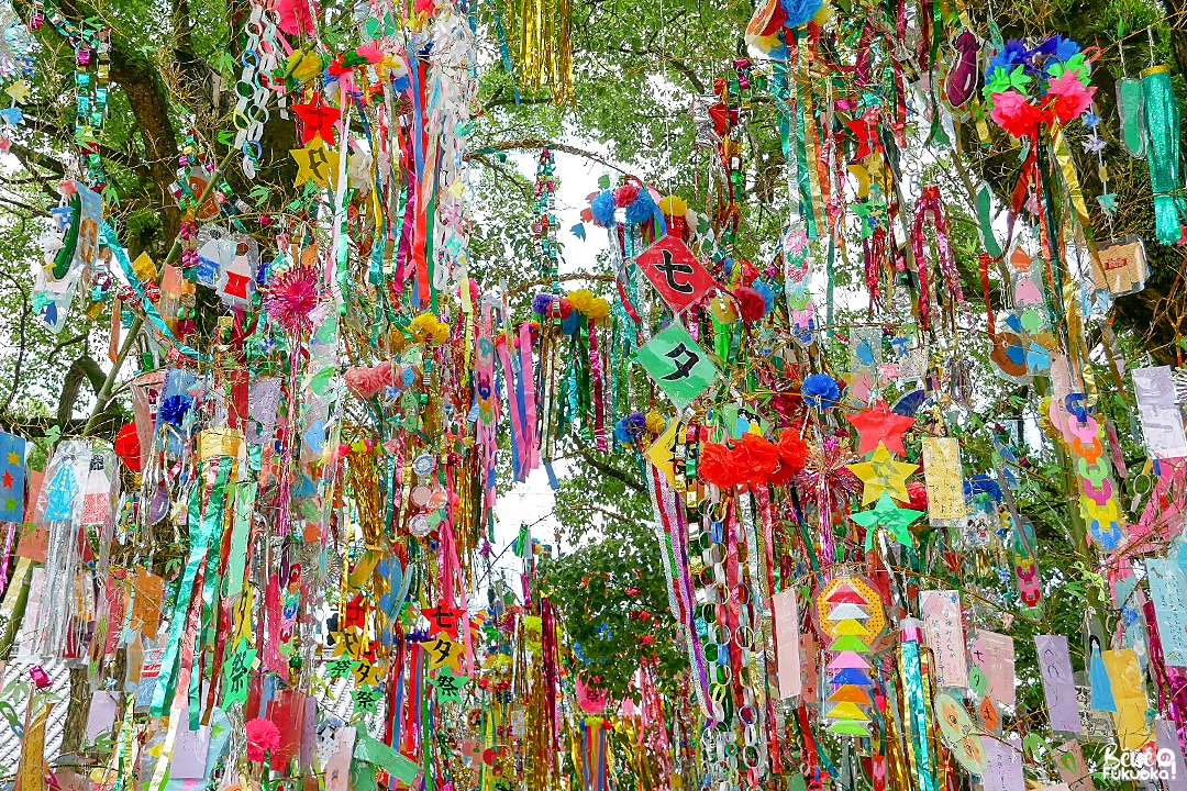 Fête des étoiles Tanabata au sanctuaire Dazaifu Tenmangû, Fukuoka