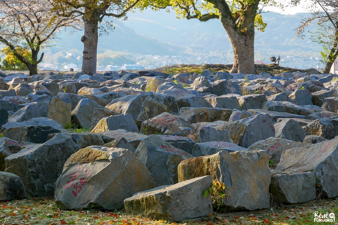 Les pierres du château de Kumamoto