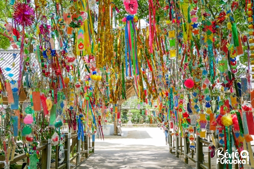 Fête des étoiles Tanabata au sanctuaire Dazaifu Tenmangû, Fukuoka