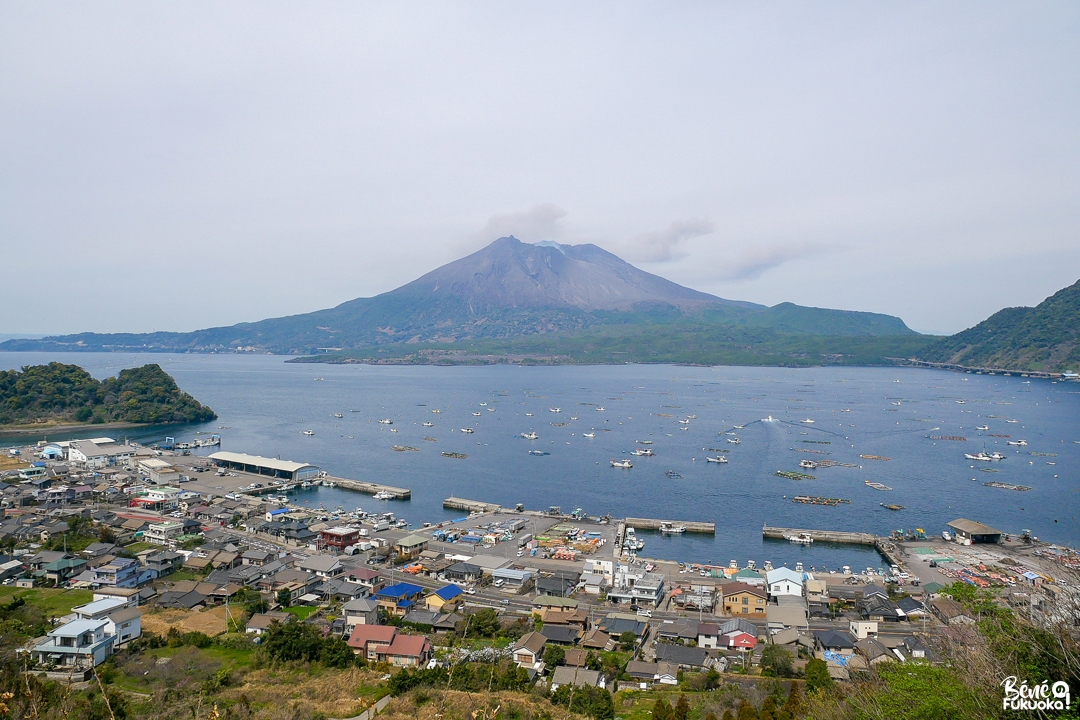 Le volcan Sakurajima, ville de Tarumizu, Kagoshima