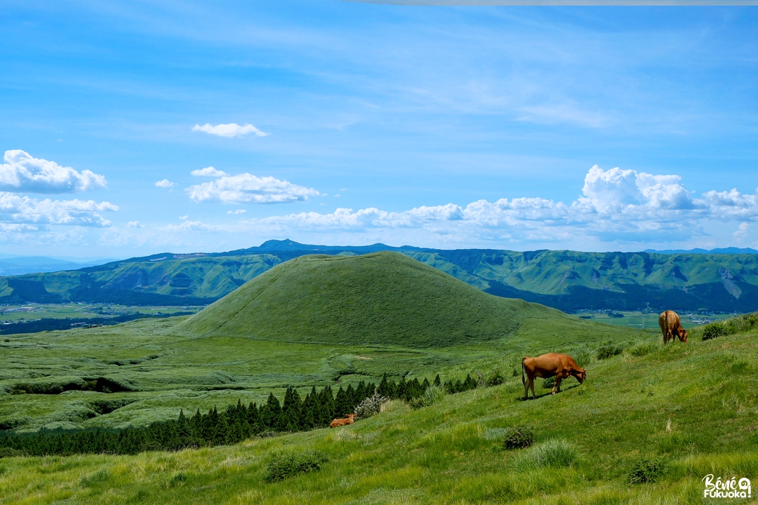Le mont Aso, Kumamoto