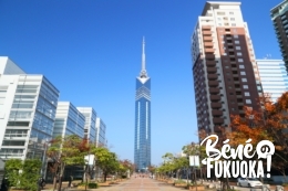 Visiter la tour de Fukuoka