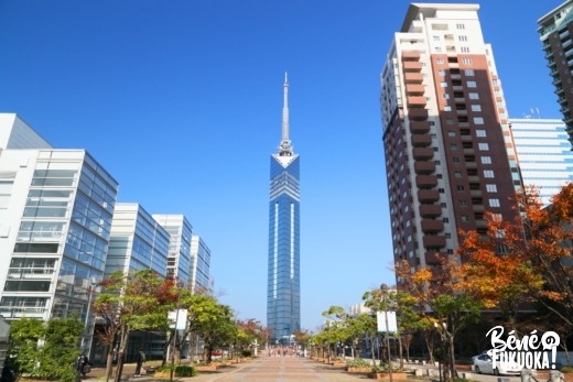 Visiter la tour de Fukuoka