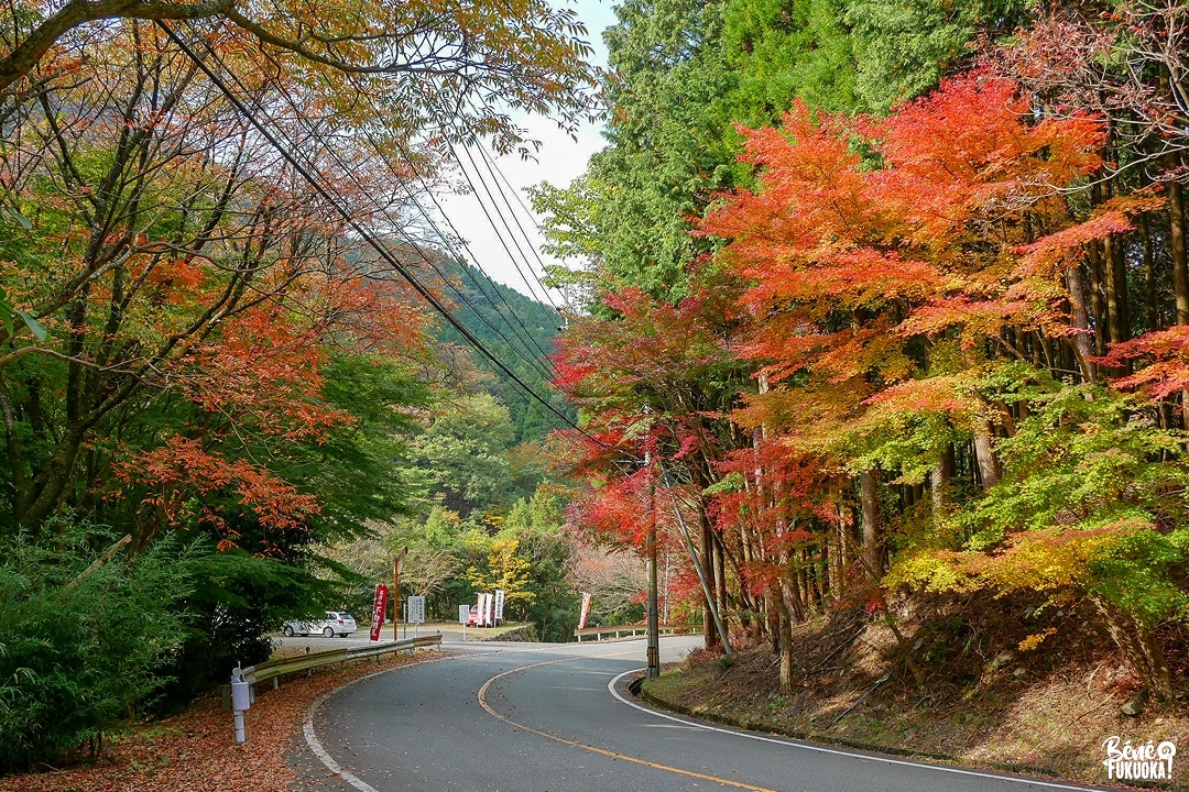 La route menant à Hikosan, village de Soeda, Fukuoka