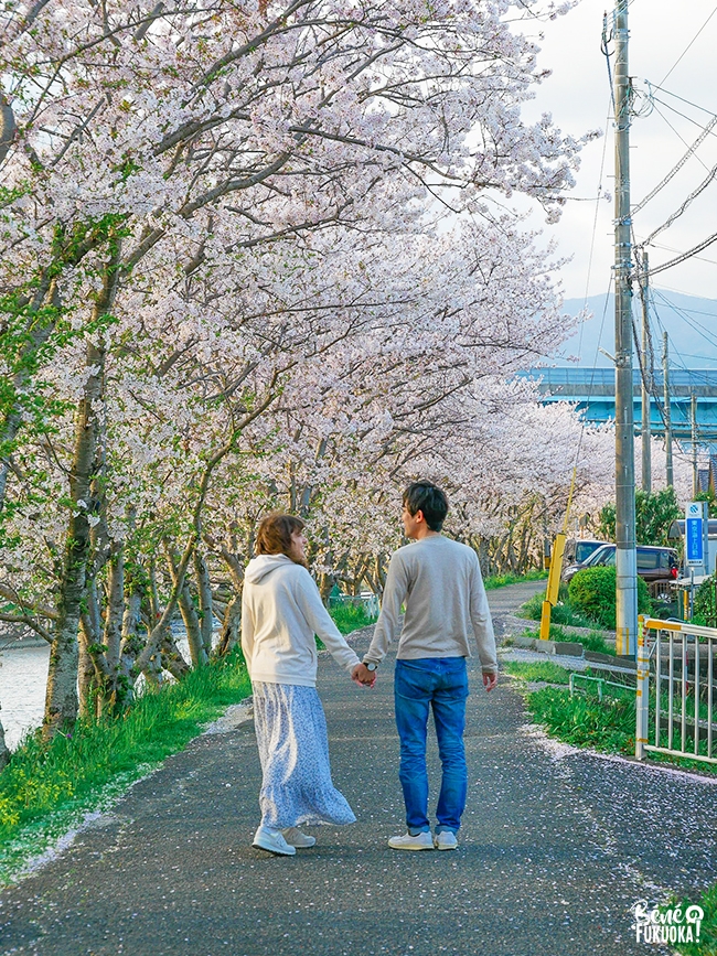 Hanami par un couple franco-japonais, Itoshima, Fukuoka
