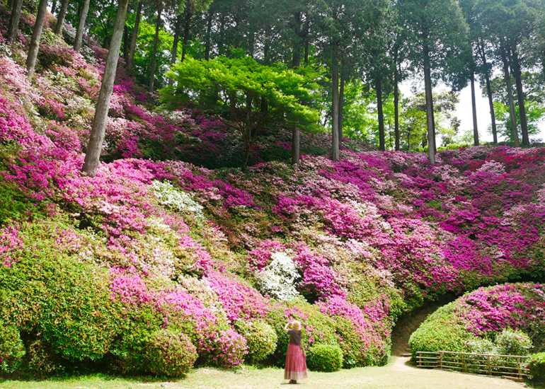 Daikôzen-ji, le temple des azalées, Kiyama, préfecture de Saga