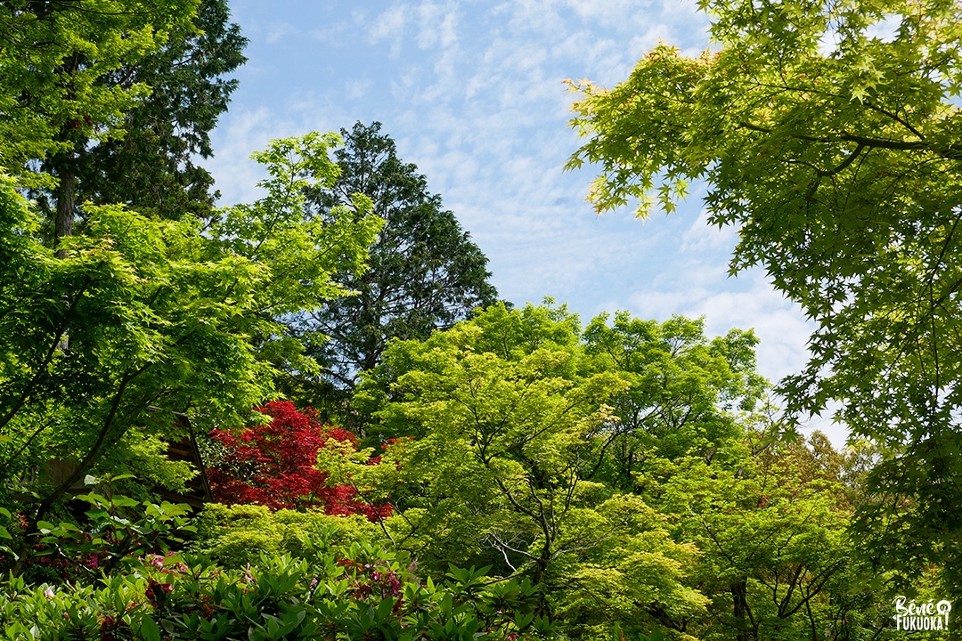 Le temple Daikôzen-ji, Kiyama, préfecture de Saga