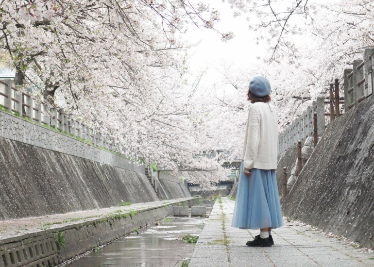 Sous les cerisiers de Fukuoka