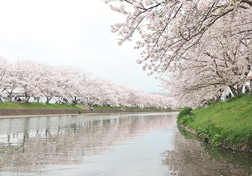 Béné no Fukuoka ! - Guide francophone spécialiste de Fukuoka et de la région de Kyûshû