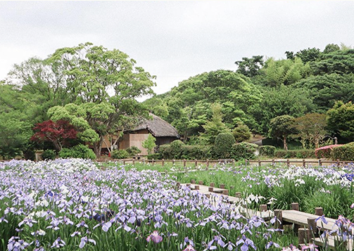 Béné no Fukuoka ! - Guide francophone spécialiste de Fukuoka et de la région de Kyûshû